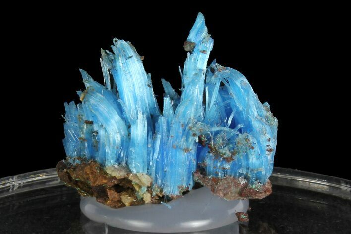 Vibrant Blue Chalcanthite - Planet Mine, Arizona #176476